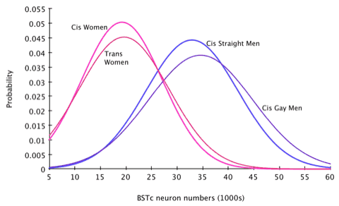 Graph showing the distributions of BSTc neuron numbers in cissexual women, transsexual women, cissexual men, and cissexual gay men.