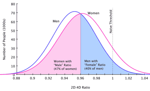 Graph showing the distribution of 2D:4D ratio in men and women.