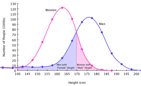 Graph showing the distribution of heights for each sex.